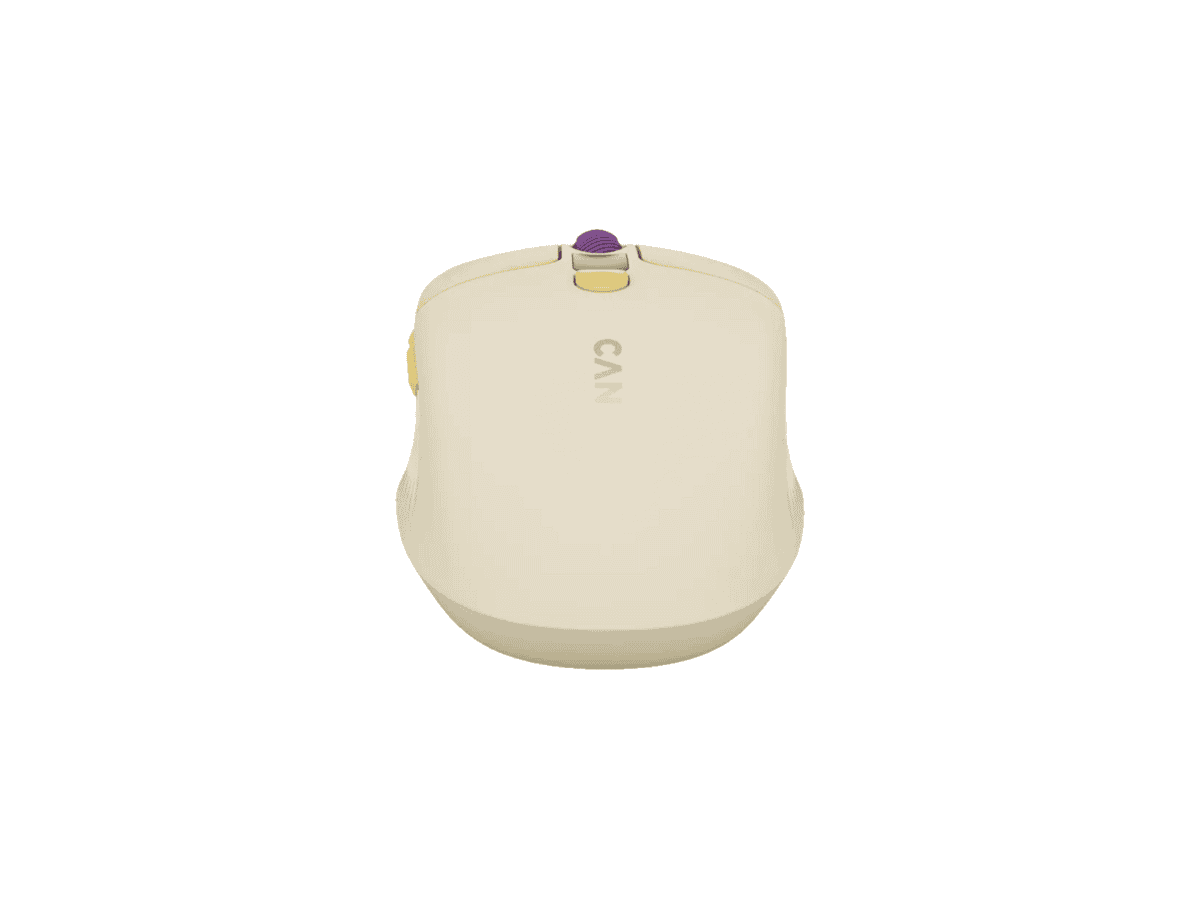 Canyon MW-26 LCD Wireless Mouse